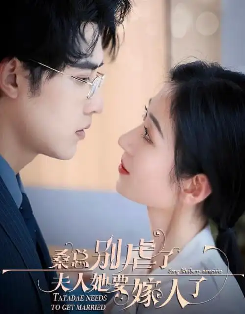 婚姻题材少妇剧集《她的第二次呼吸》封面